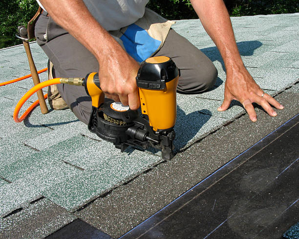 Best Roof Gutter Cleaning  in St Matthews, KY