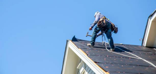 Roof Gutter Cleaning in St Matthews, KY